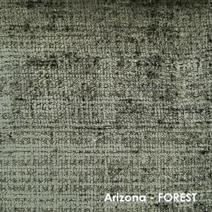 Arizona - Forest