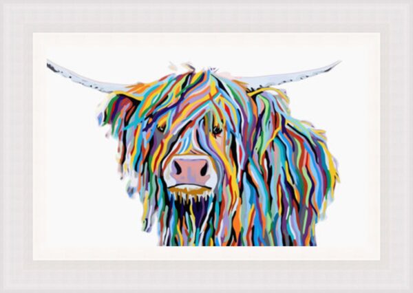 Coloured Highland Cow 1