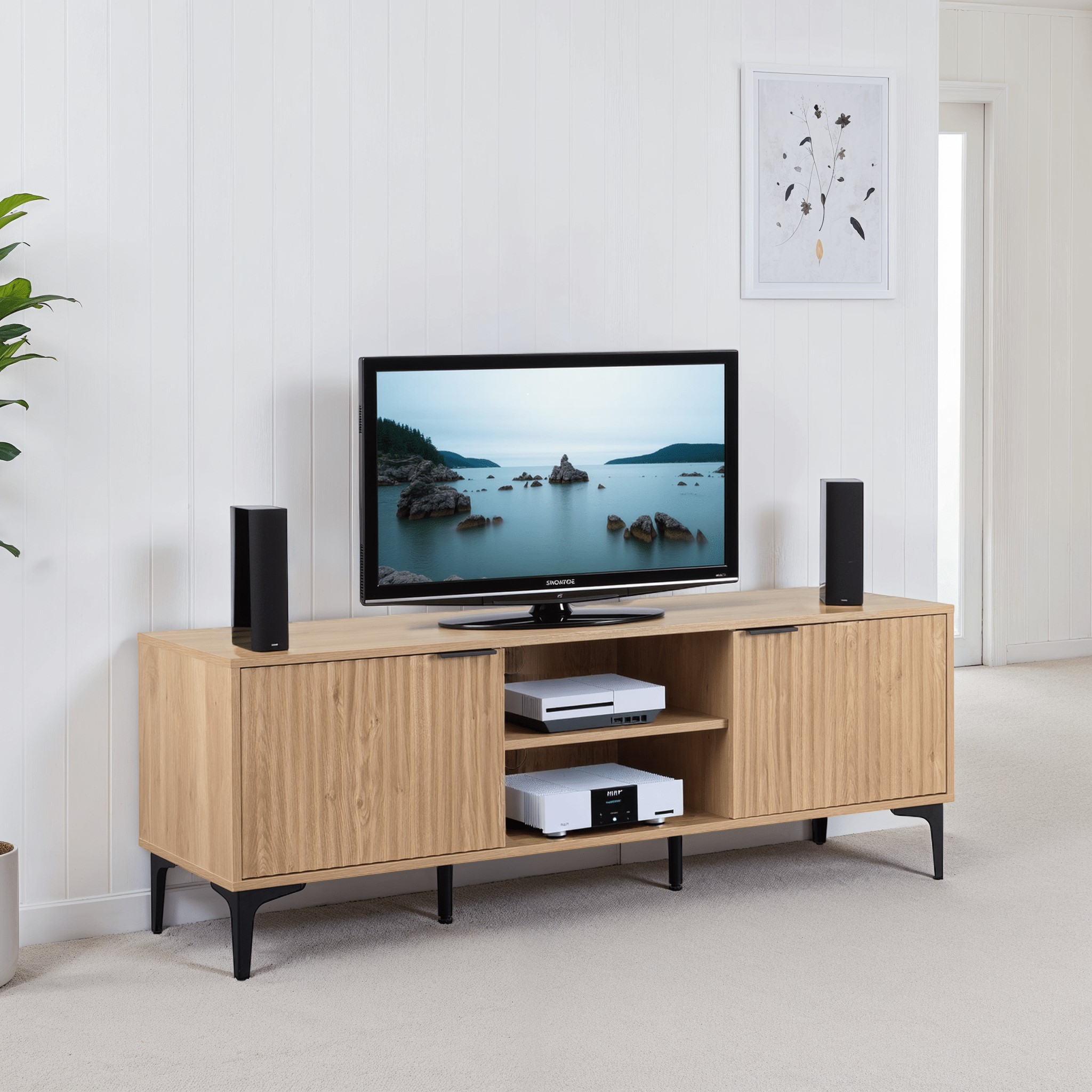Milana 2 Door TV Unit 1