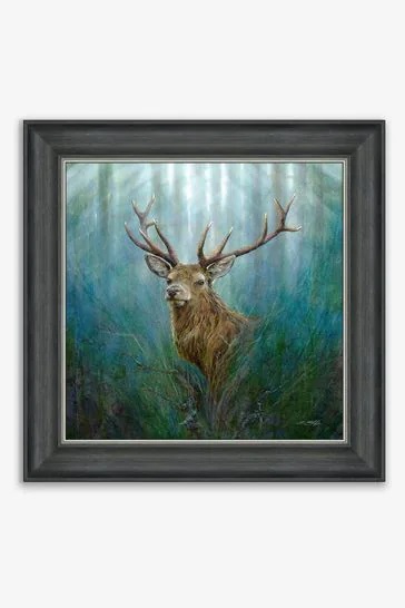 Red Deer Stag 1