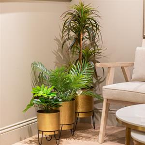 Anisha Planter BlackGold 1 thumbnail