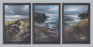 Coastal Wildflower Path 1 thumbnail