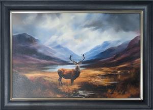 Lone Scottish Highland Stag 1 thumbnail