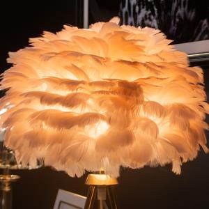 Pink Feather Lamp 2 thumbnail